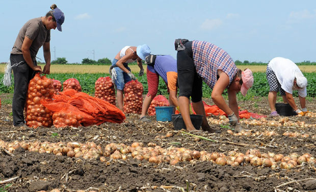 Породиљско стиже и на село