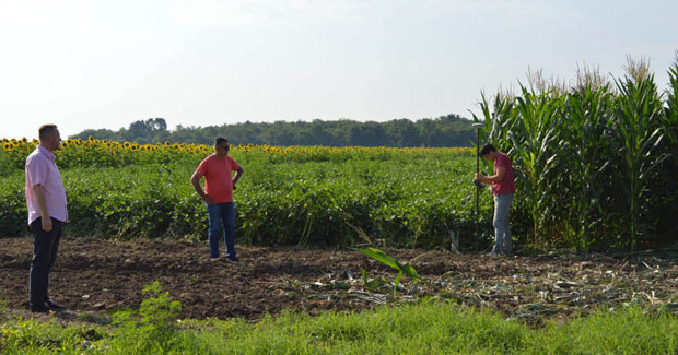 Сомбор стопира узурпацију атарских путева