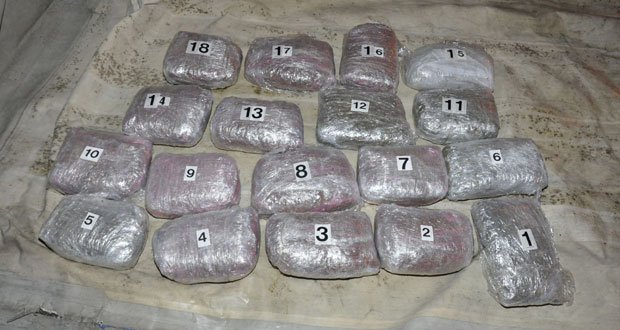 Полиција код Краљева запленила 18,5 килограма марихуане (ФОТО)