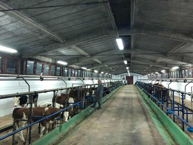 Јунад почела да пуни штале
