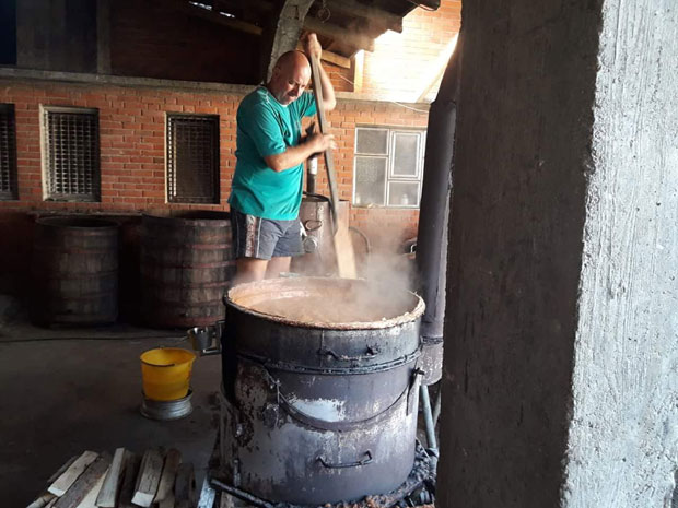 Потекла прва кајсијевача, литар 1.000 динара