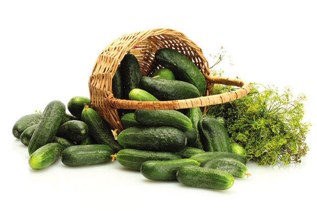 Храна за лето