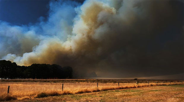 ВАТРEНА СТИХИЈА У ХОЛАНДИЈИ: Евакуисана четири кампа због пожара, војска стиже у помоћ