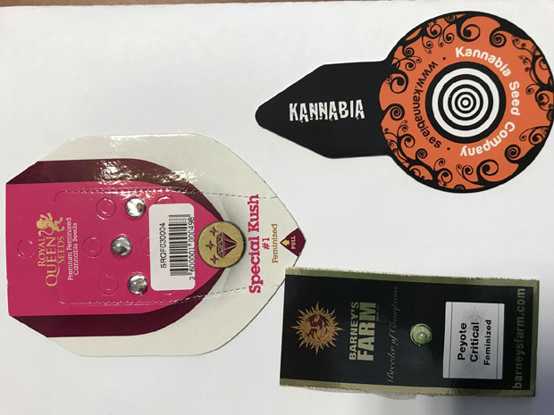 Семе канабиса све чешће у поштанским пошиљкама 