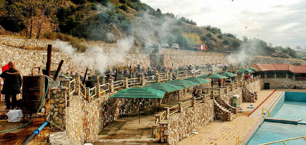 И „жута“ лозовача по евростандарду (ФОТО)