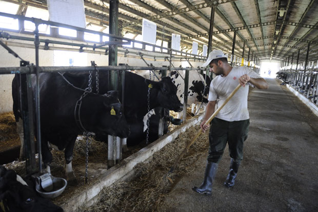 НЕЗАДОВОЉНИ РАДНИЦИ ПКБ-a: Траже 6.150 евра по хектару