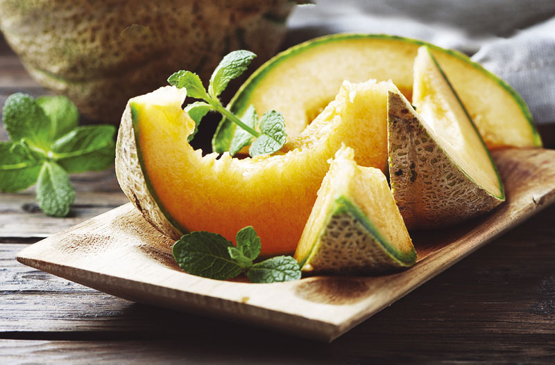 Диња храни организам