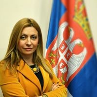 Антић: Савети да делују у интересу својих заједница, а не политички