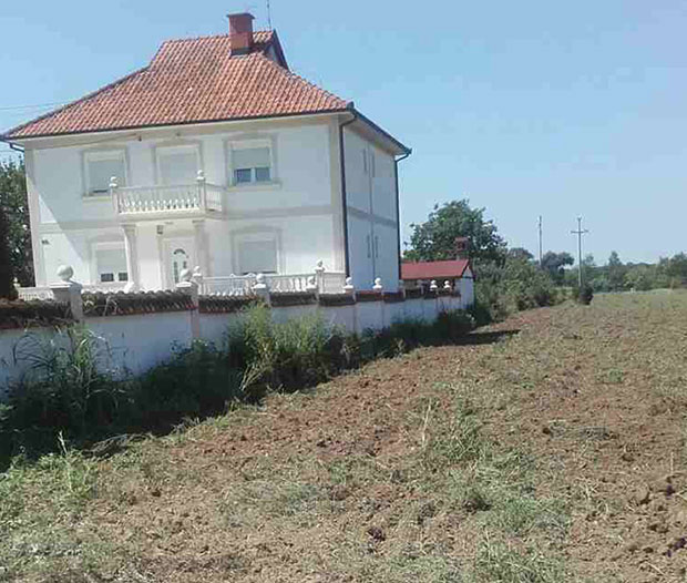 Житељи дела Сурчина покосили амброзију, сад ће моћи лакше да дишу