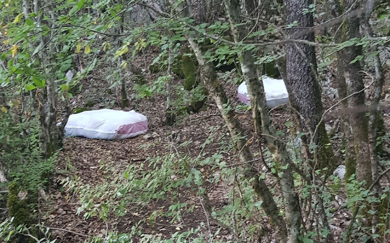 Заплењен 51 килограм марихуане