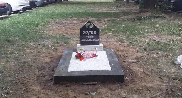 НЕСВАКИДАШЊИ ПОТЕЗ У КРАЉЕВУ: Пас Жућа добио споменик у центру насеља