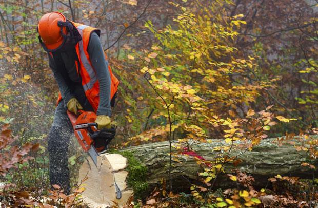 ПОВРЕЂЕНИ ДРВОСЕЧА: Једва сам извадио тестеру из груди