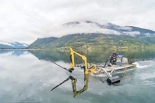 УМИРЕ БИСЕР ПРИРОДЕ: Плавско језеро зараста у трску и шаш и постаје бара 