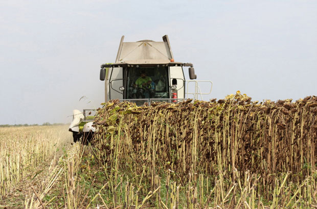 Род добар, али цена спорна