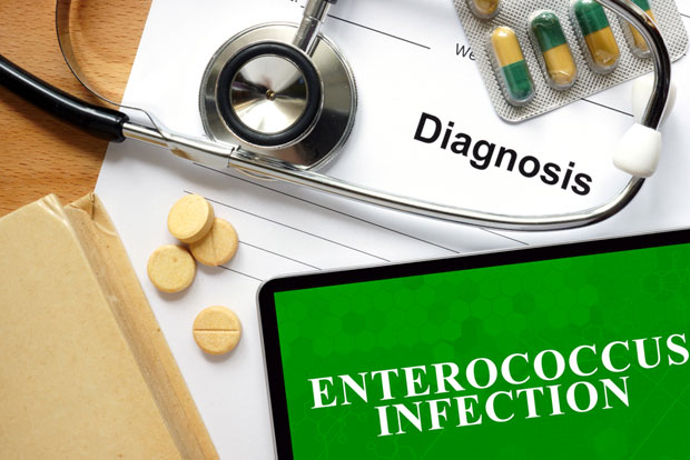 Ентерококе отпорне на алкохол?