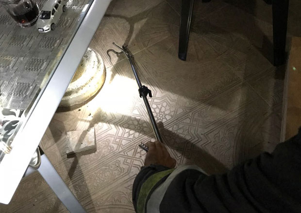 ИЗНЕНАЂЕЊЕ НА ЛЕТОВАЊУ: Туристима у госте дошао поскок