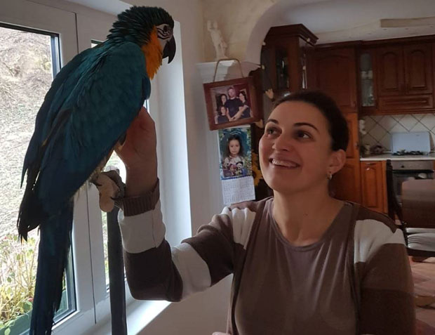 Саша и Снежана брину о 55 папагаја, сваку птицу знају у душу