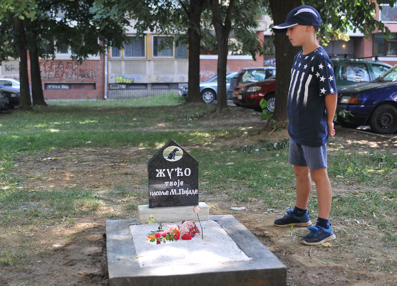 СПОМЕНИК ВОЉЕНОМ ПСУ МОРА БИТИ УКЛОЊЕН: Инспекција наложила измештање Жућиног гроба у краљевачком насељу 