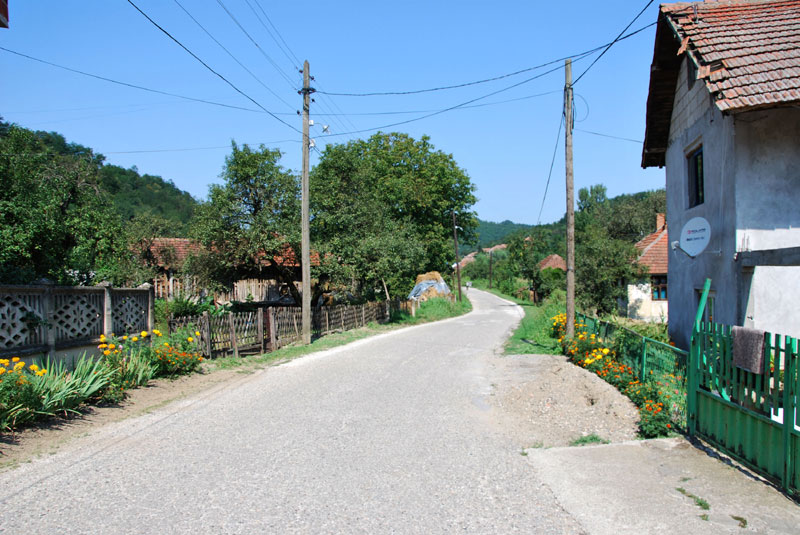 МЕШТАНИ У СТРАХУ: Пси тероришу село у којем је теријер осакатио старицу