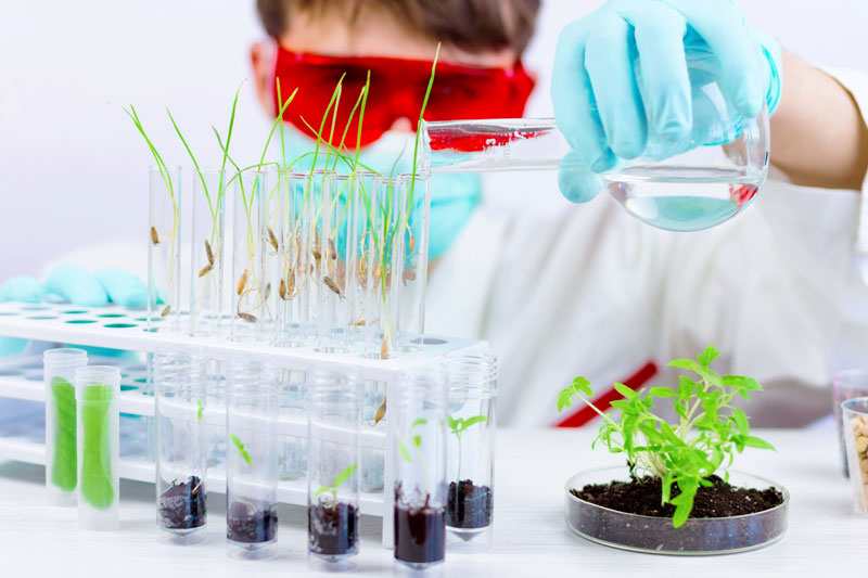 КАКВУ ХРАНУ ЈЕДЕМО: ГМО и у шницлама?