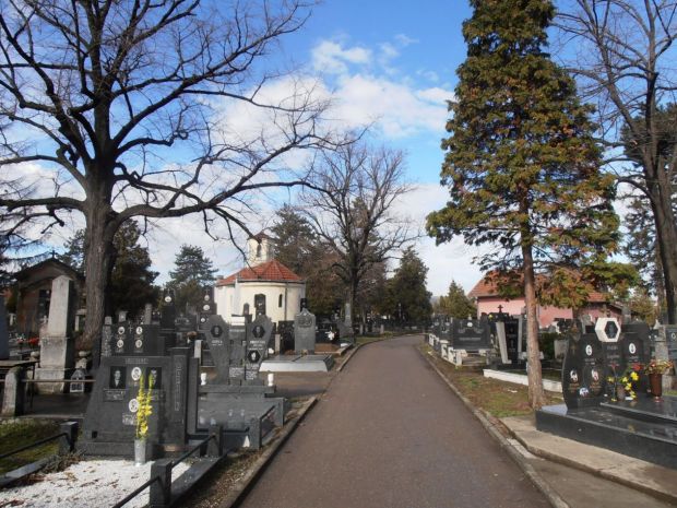 УЖАС У КРУШЕВЦУ: Тинејџерка одвела девојчицу на гробље, па је тукла, скинула голу, фотографисала и објавила на друштвеној мрежи