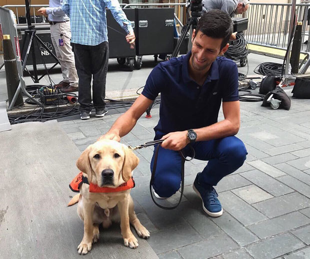 Новак и куца истопили срца