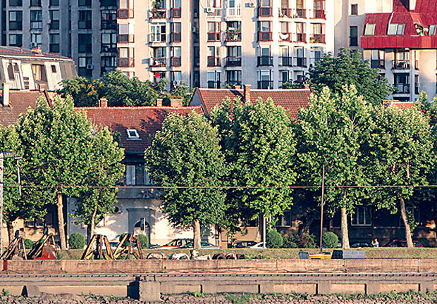 Кинези дижу цене квадрата у Смедереву