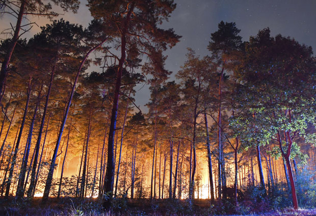 Немачка: Пожар се шири, детонације се чују из шуме (Фото)