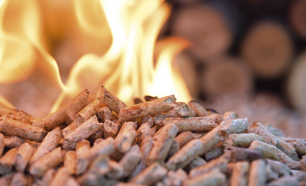 ЧУДО ИЗ ЗАПАДНЕ СРБИЈЕ: Колевка клеке биће прво село са зеленом енергијом