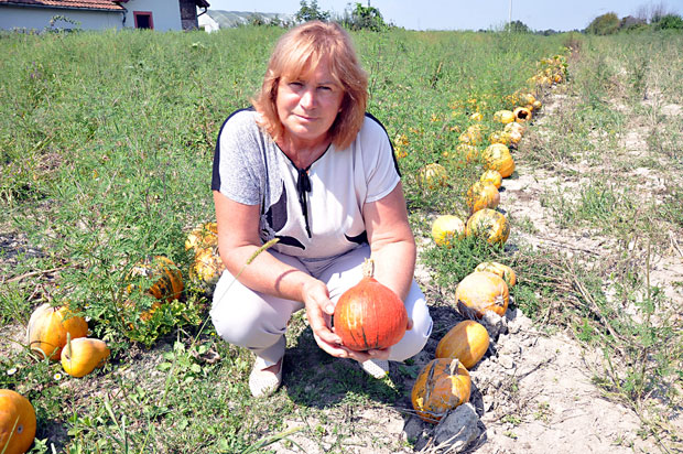 Бундева и храна и лек 