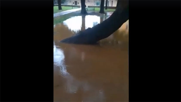 НЕВРЕМЕ У ХРВАТСКОЈ: Јака киша потопила Далмацију, пијавице на мору (ВИДЕО)