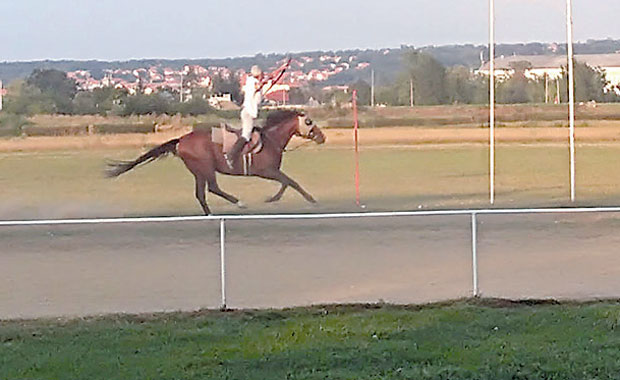 ВИШЕБОЈЦИ СПРЕМНИ ЗА ВИТЕШКУ БОРБУ: Припреме уочи 55. Љубичевских коњичких игара,  од 31.  августа до 2. септембра