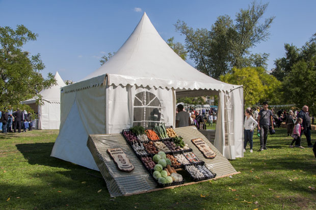 Ринфлајш за сва чула