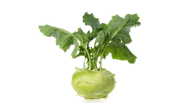 Лагани оброци и много течности