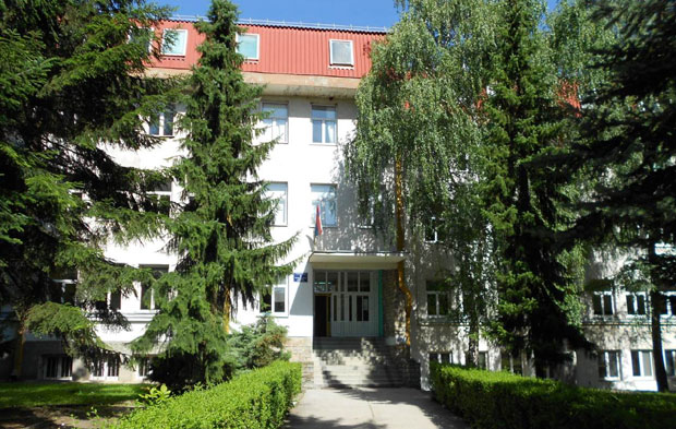 ЖИТЕЉИ КУРШУМЛИЈЕ НЕЗАДОВОЉНИ ЗБОГ ПРИПАЈАЊА ШКОЛА: Нису нас питали за мишљење