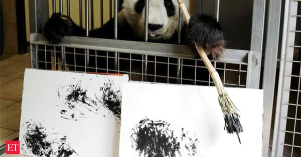 СЛИКАРКА ПАНДА: Зоо врт има посебну атракцију