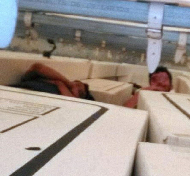 Илегалци међу киселим купусом и вишњама у алкохолу