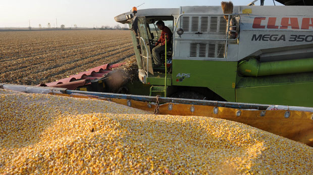 Оде кућа на добош