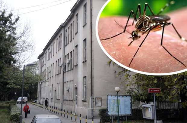 Грозницу Западног Нила лечимо као у ЕУ