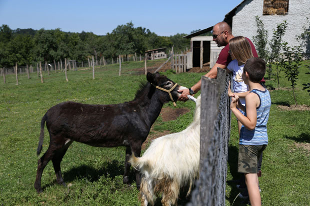 Жељково дечје село - украс Козаре