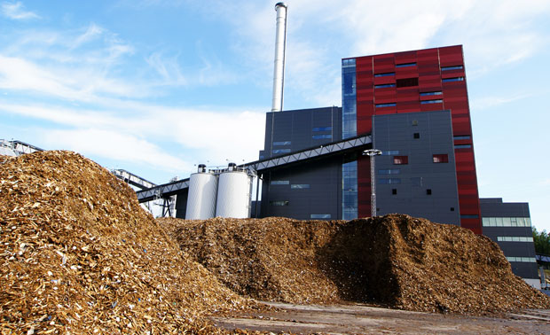 ЈЕФТИНИЈЕ ГРЕЈАЊЕ ЗА ШКОЛЕ: Дрвена сечка греје школарце