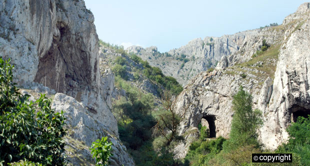 Чуда се дешавају у Нишевцу