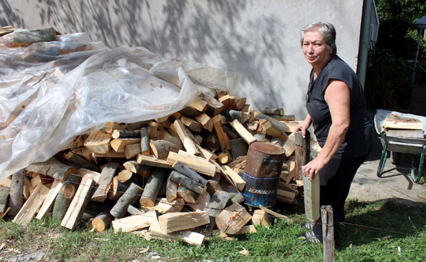 ЈАГОДИНА: Дрвима замењују гас, струју и даљинско
