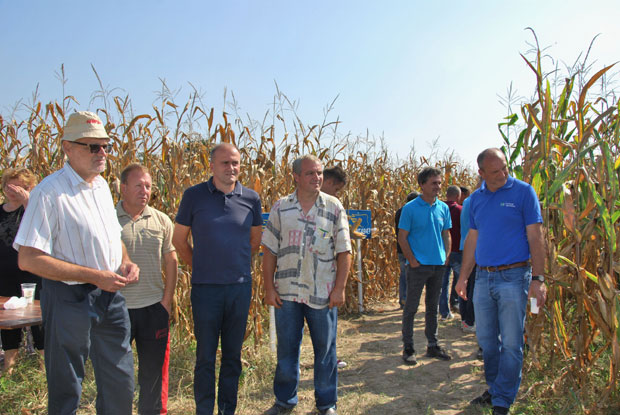 Хибриди доносе род