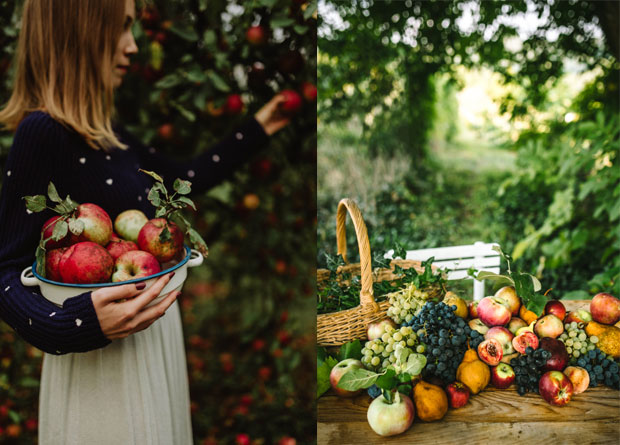 Од блога има леба