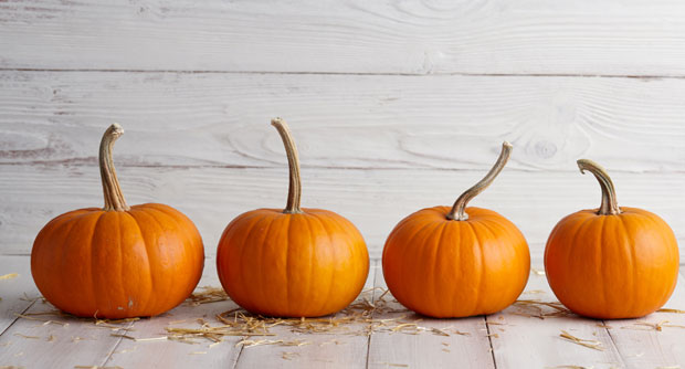 Краљица јесени против вишка килограма