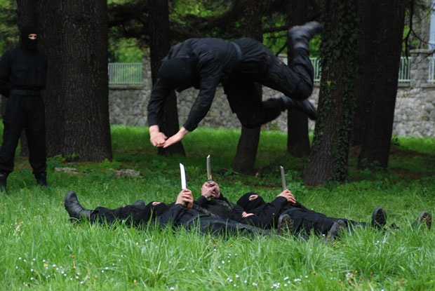 Кобре најбоље међу најбољима