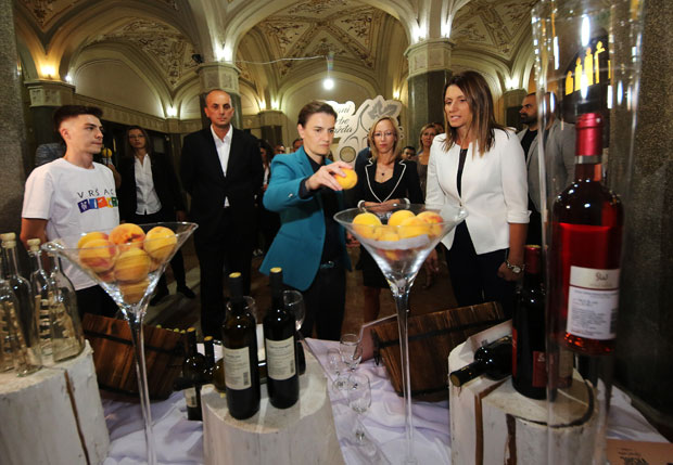 Ана Брнабић у Вршцу поручила да ће држава све више улагати у младе