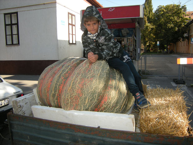 Кикинда у знаку Дана лудаје