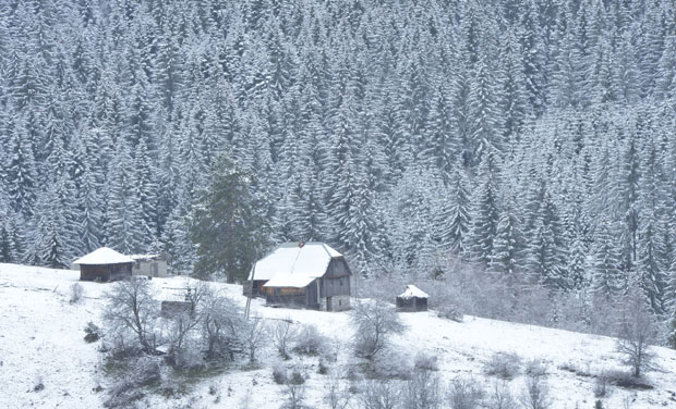 На Златару пао први снег
